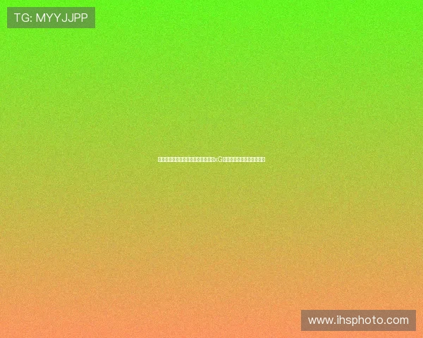 详细解析世界杯巴西与海地比赛中的xG数据及其对比赛结果的影响